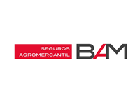 BAM